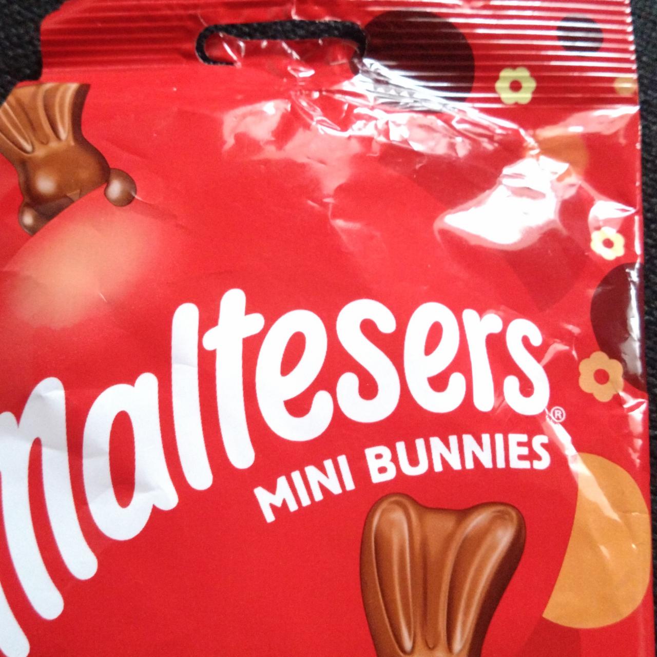 Fotografie - Mini bunnies Maltesers