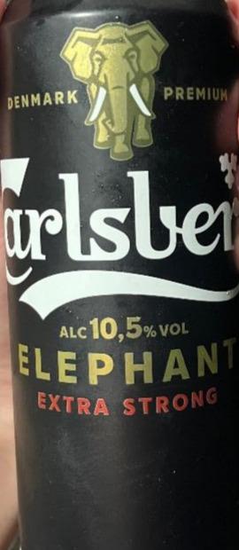 Fotografie - Elephant Extra Strong Carlsberg
