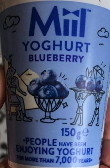 Fotografie - Yoghurt Blueberry Miil