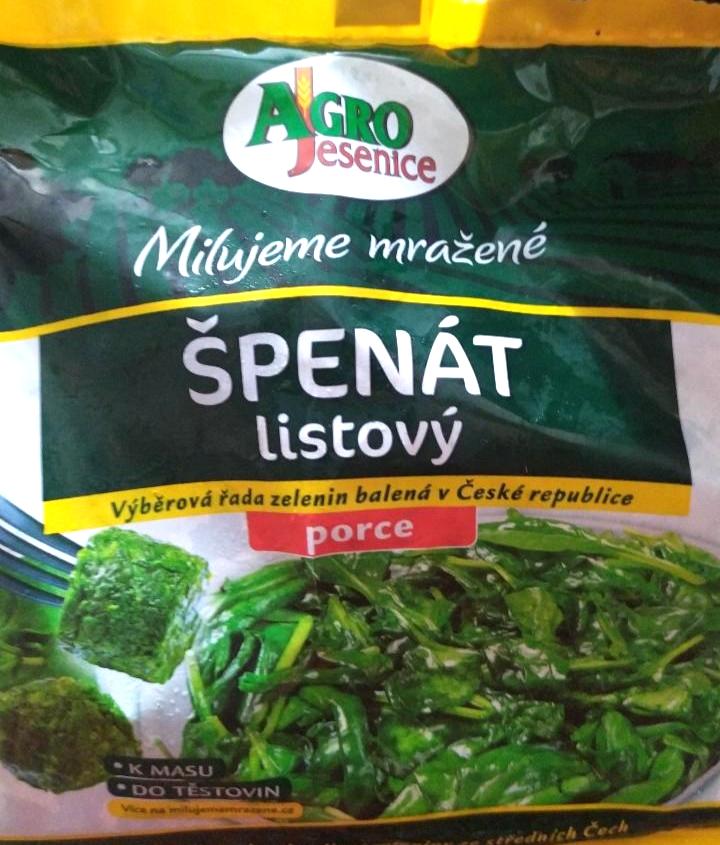 Fotografie - Špenát listový Agro Jesenice