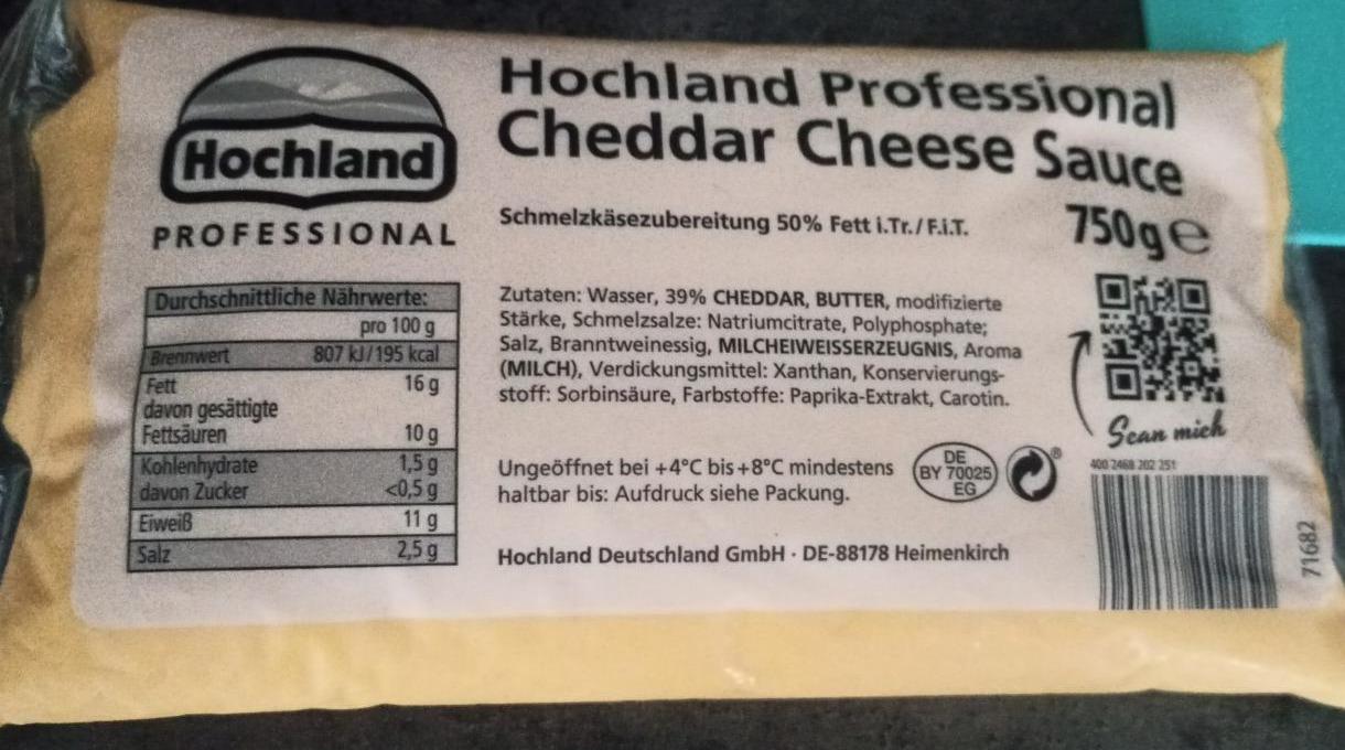 Fotografie - Professional Cheddar Cheese Sauce Hochland