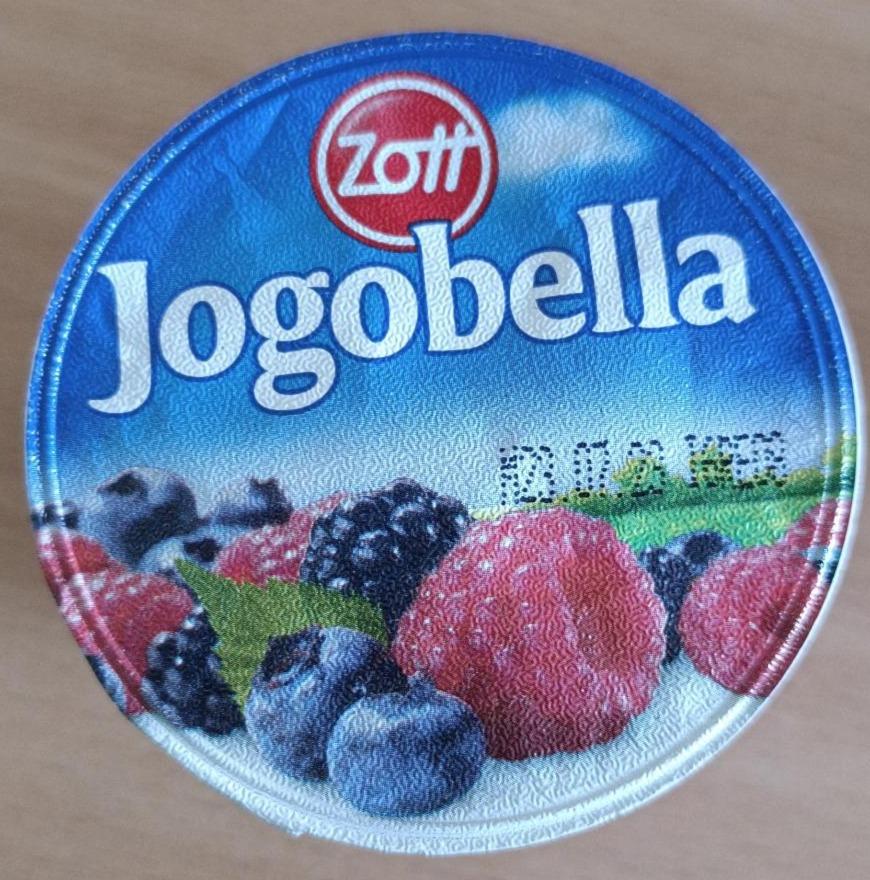 Fotografie - Jogobella jogurt lesní ovoce Zott
