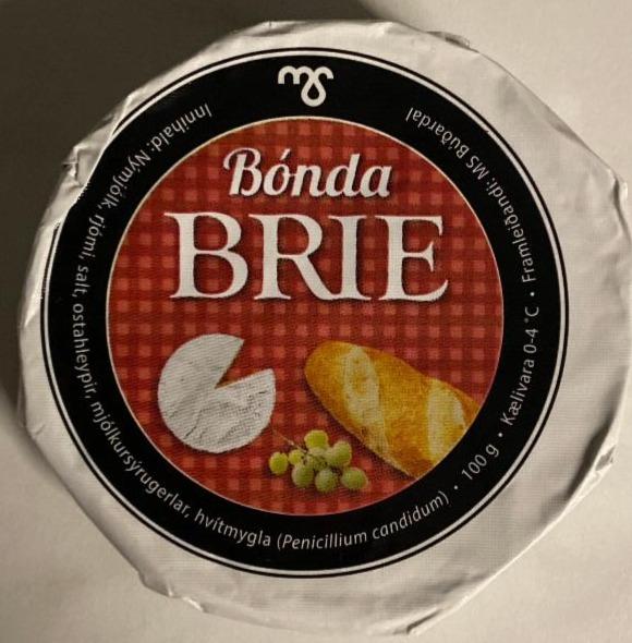 Fotografie - Bónda Brie cheese