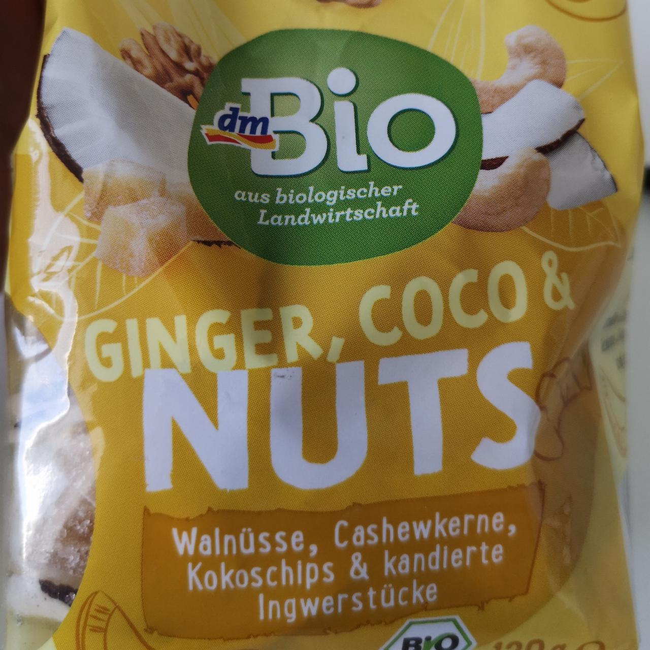 Fotografie - Ginger, Coco & Nuts dmBio