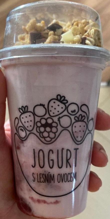 Fotografie - Jogurt s ovocem a müsli McDonald's