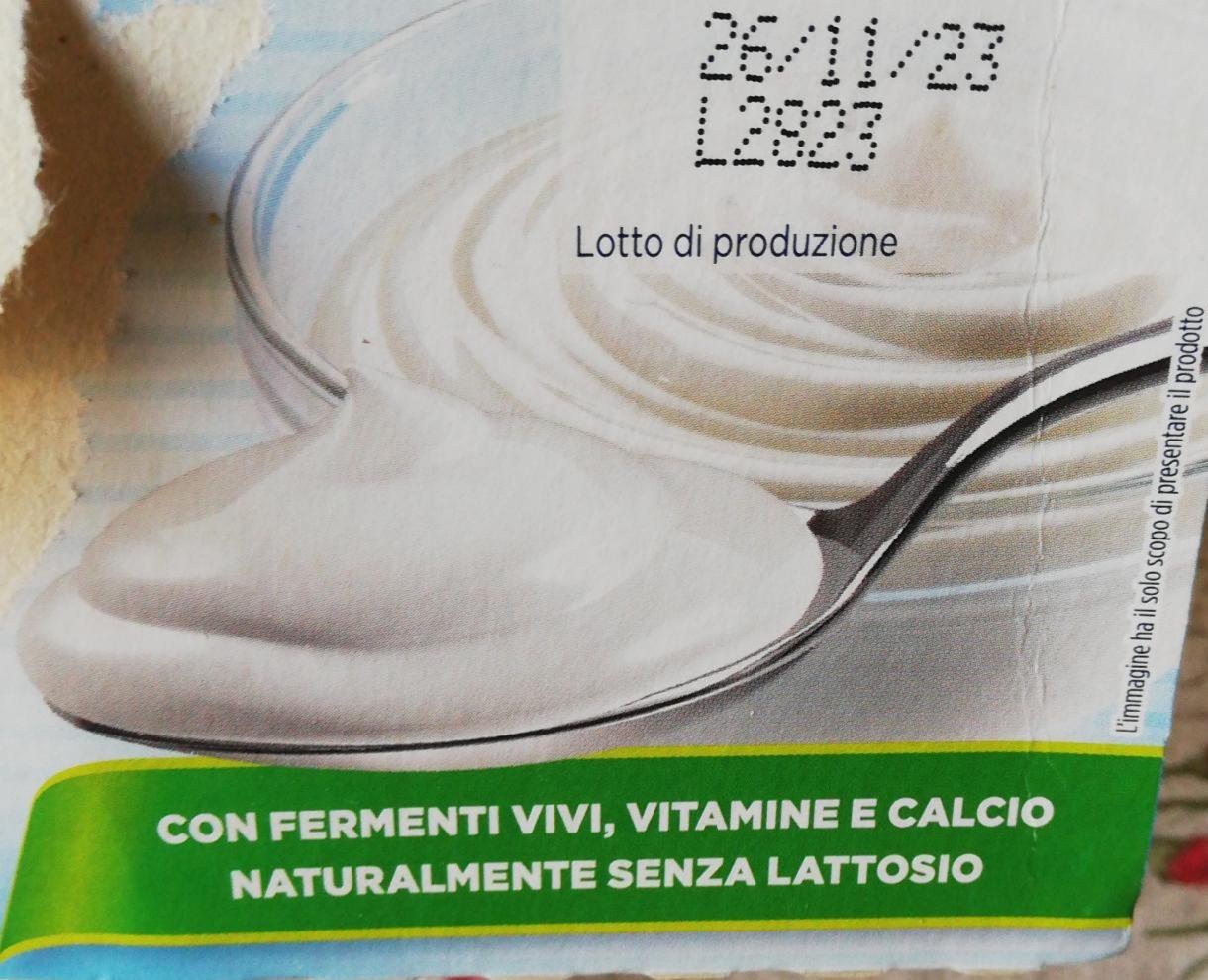 Fotografie - Jogurt vegetale bianco cremoso Valsoia