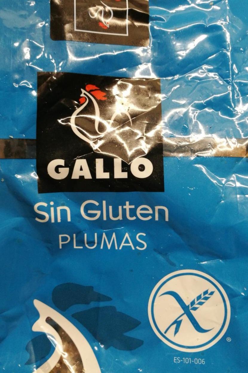 Fotografie - Plumas sin Gluten Gallo