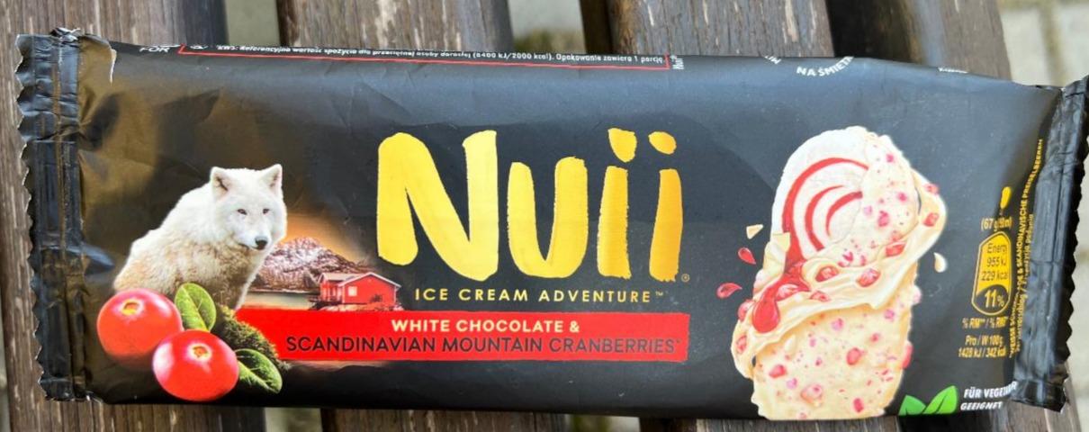 Fotografie - Ice cream adventure white chocolate & scandinavian mountain cranberries Nuii