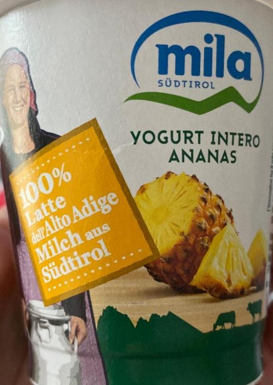 Fotografie - Yogurt Intero Ananas Mila Südtirol