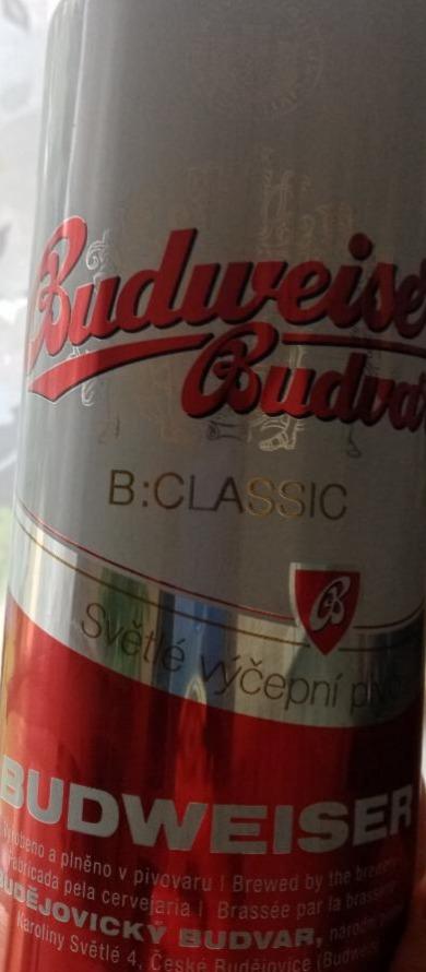 Fotografie - Budweiser Budvar B: Classic Světlé výčepní