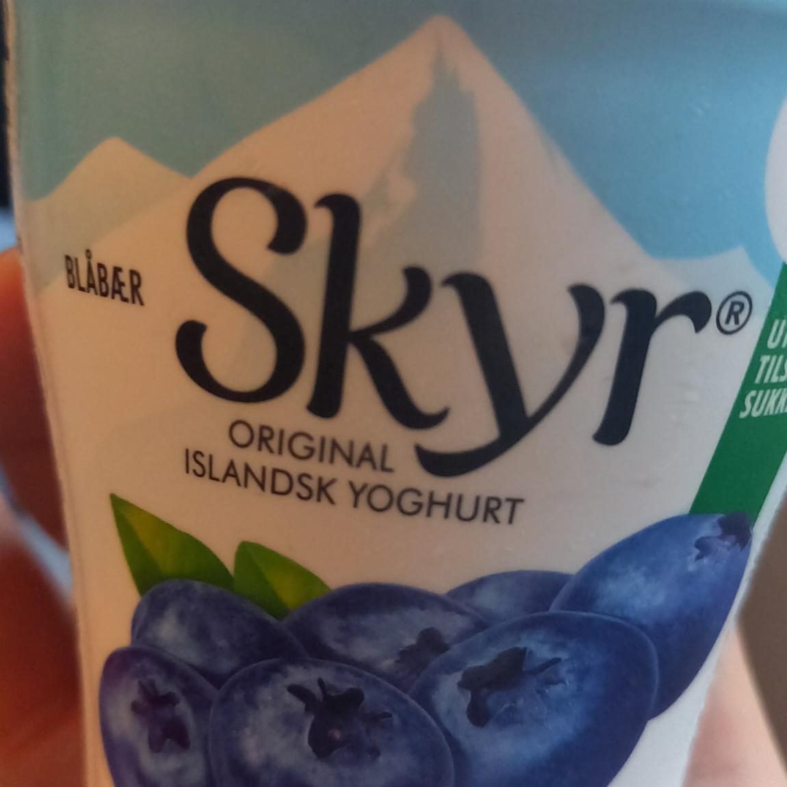 Fotografie - Skyr original Islandsk Yoghurt Blåbær