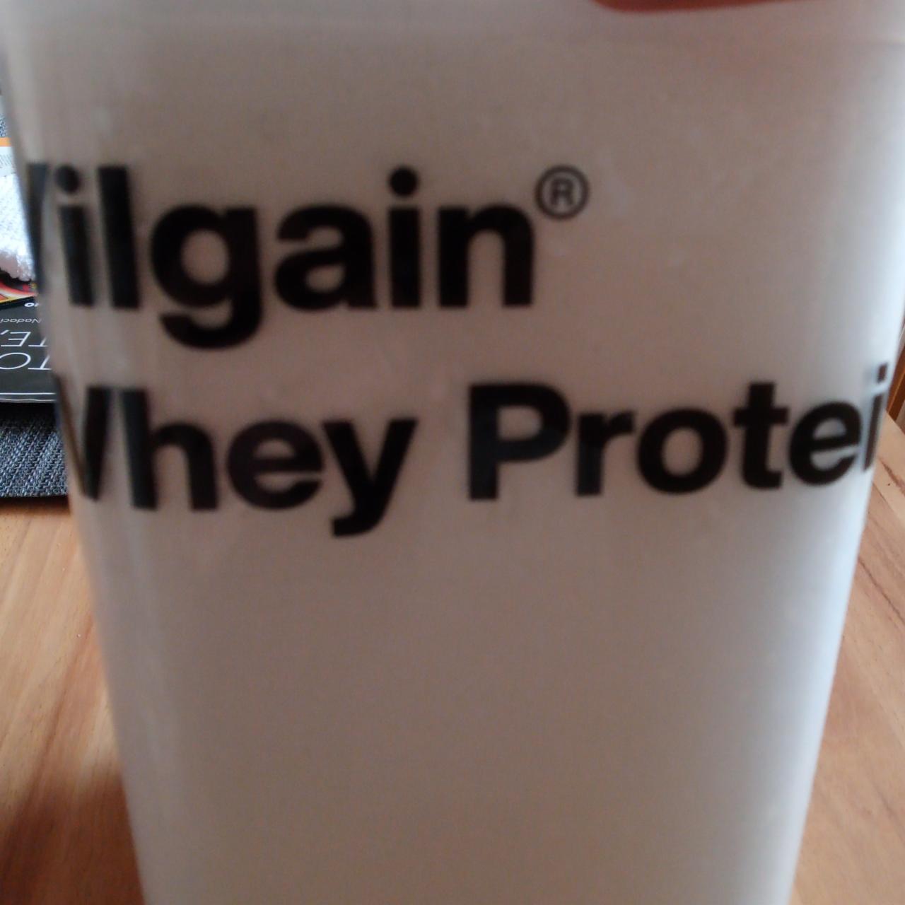 Fotografie - Whey Protein Vilgain