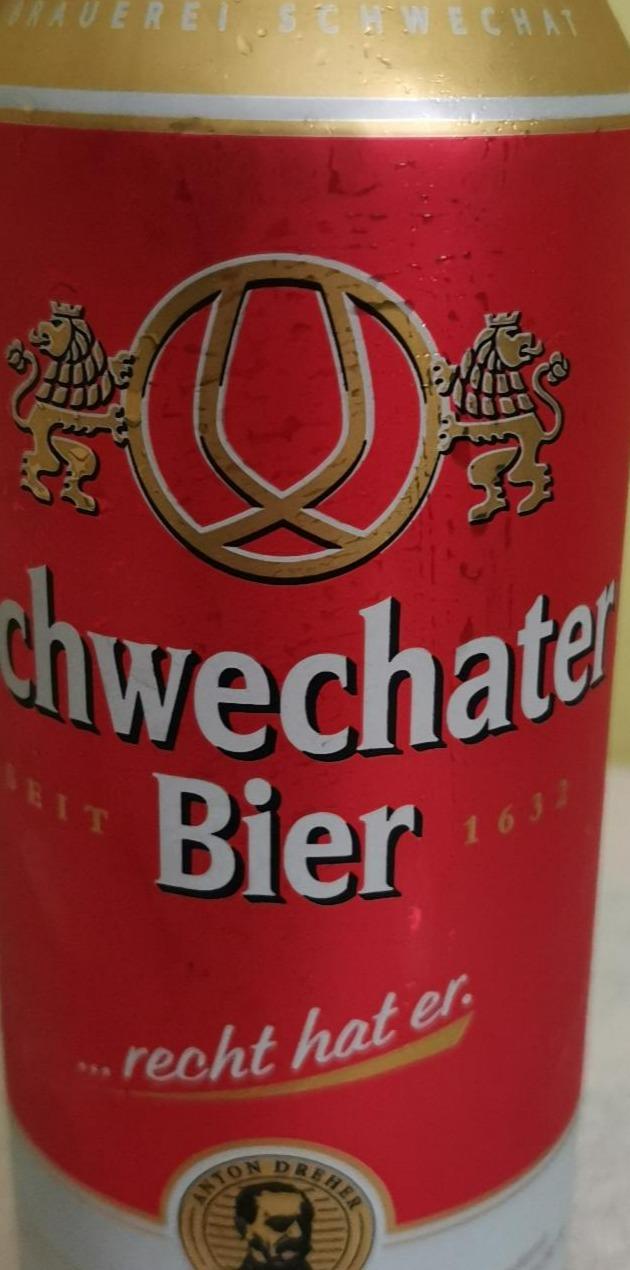 Fotografie - Schwechater Bier