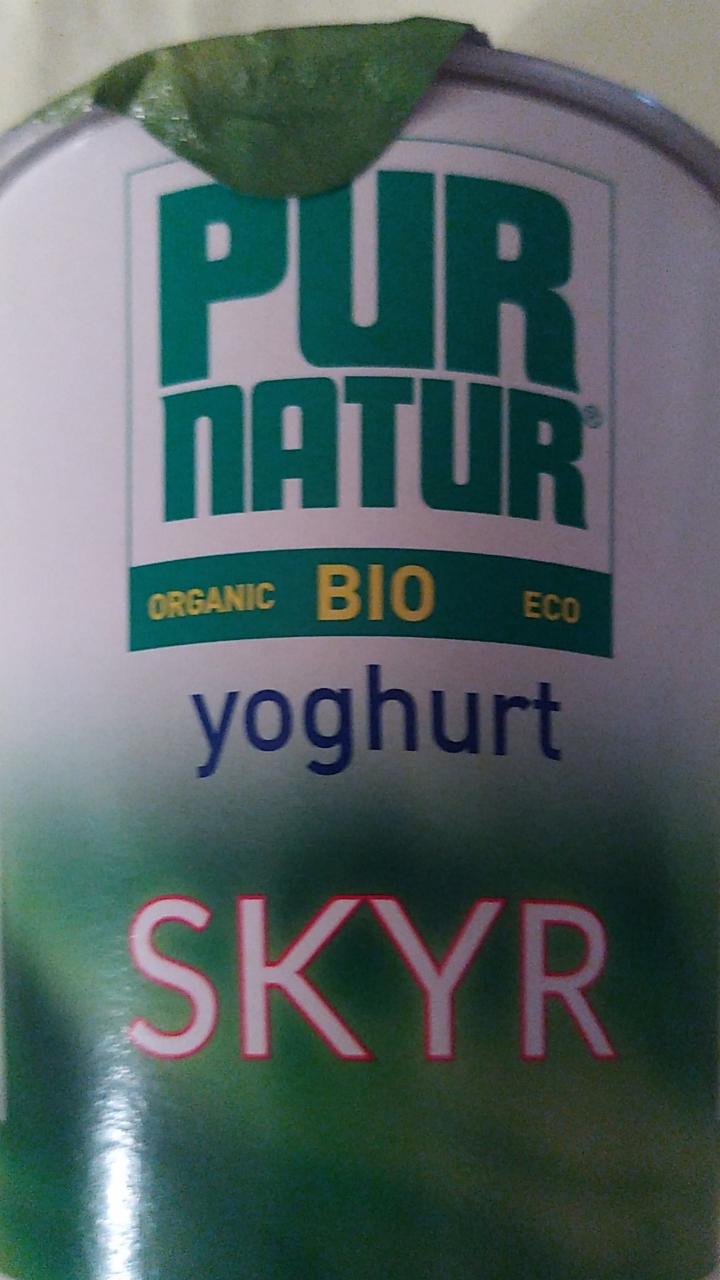 Fotografie - Yoghurt Skyr bio Pur natur