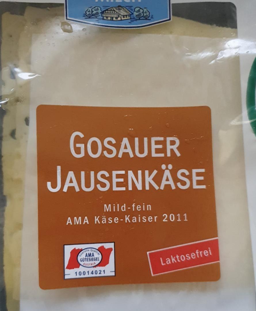 Fotografie - Gosauer Jausenkäse laktosefrei