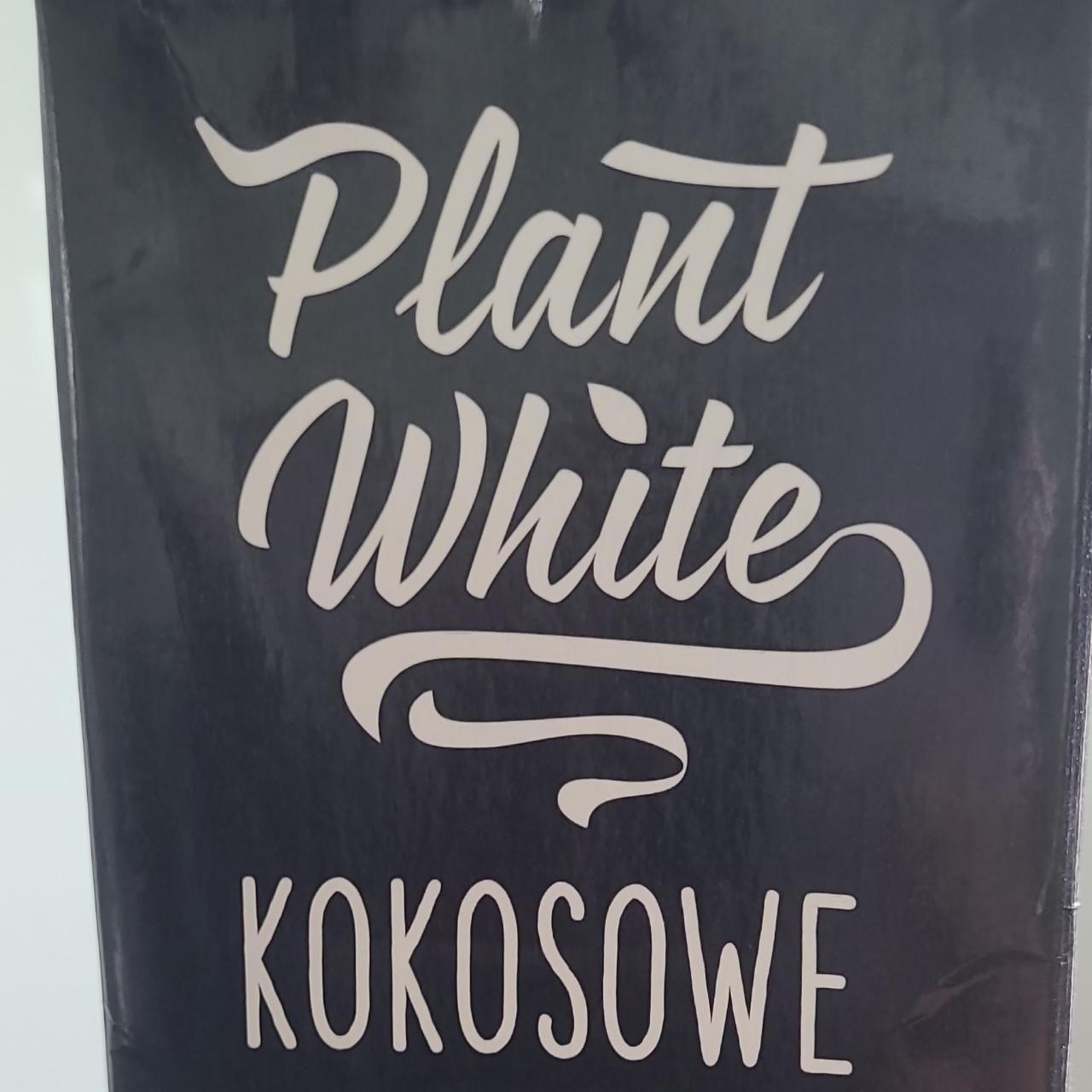 Fotografie - Kokosowe Plant White
