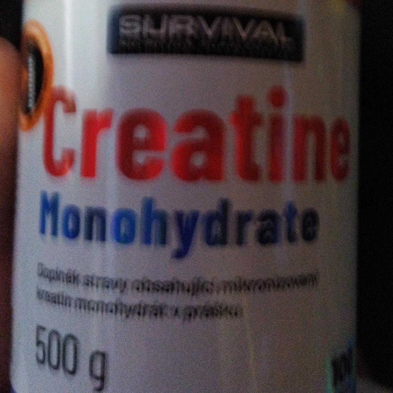 Fotografie - Creatine Monohydrate Survival