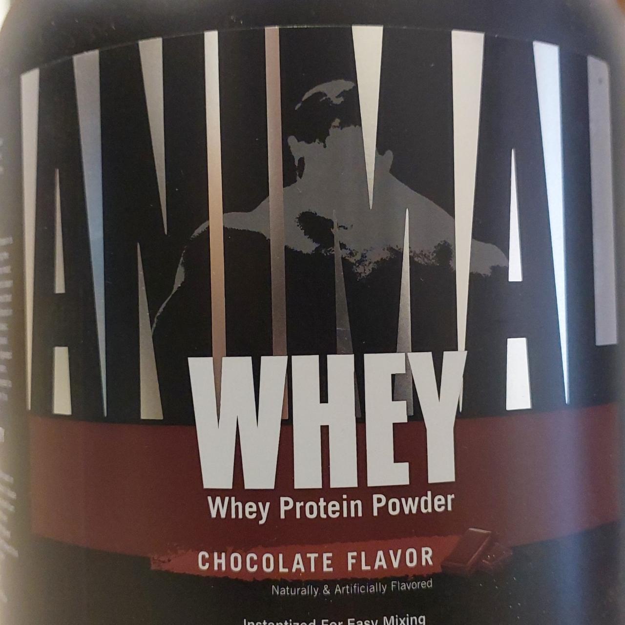 Fotografie - Whey Protein Powder Chocolate Flavour Animal Universal Nutrition