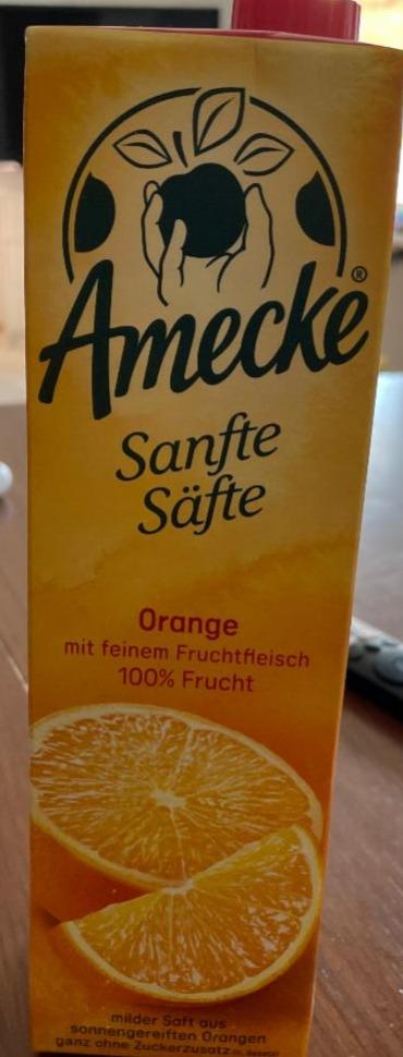 Fotografie - Sanfte Säfte orange mít feinem Amecke
