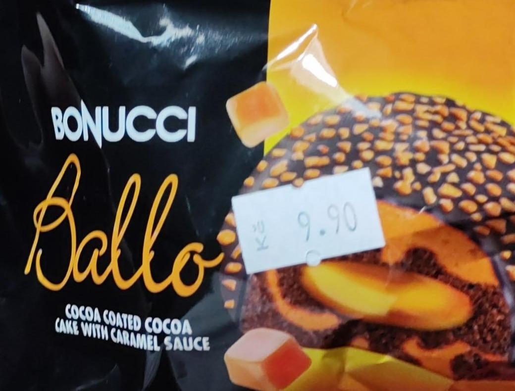 Fotografie - Ballo Cocoa coated cocoa cake with caramel sauce Bonucci