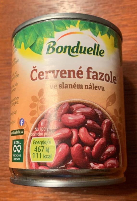 Fotografie - Červené fazole ve slaném nálevu Bonduelle