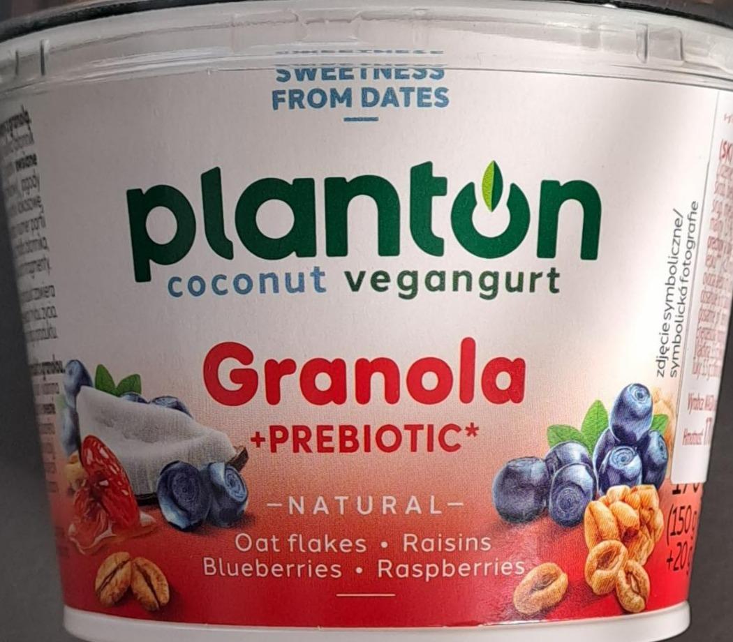 Fotografie - Granola prebiotic natural Oat flakes Raisins Blueberries Raspberries Planton