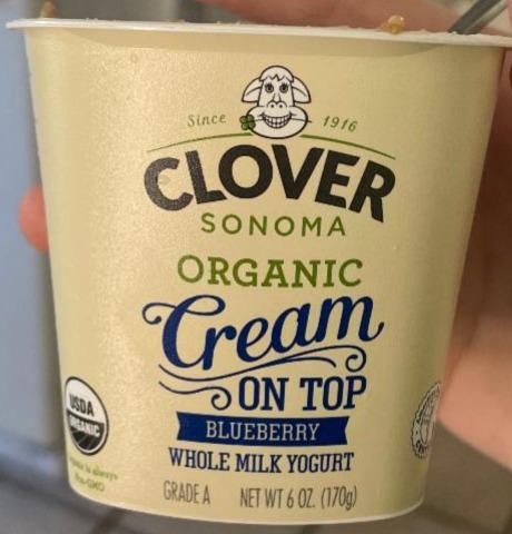 Fotografie - Sonoma Organic Whole Milk Yogurt Blueberry Clover