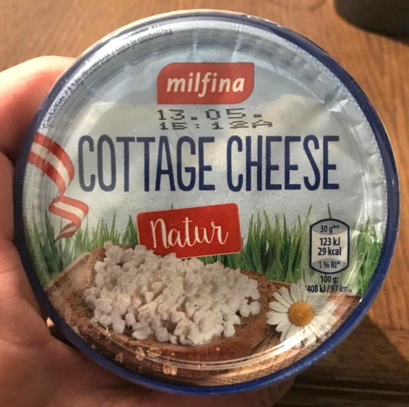 Fotografie - Cottage cheese/ natur/ milfina/Hofer