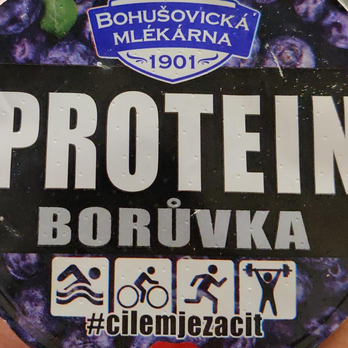 Fotografie - Protein tvaroh borůvka -30% cukru Bohušovická mlékárna