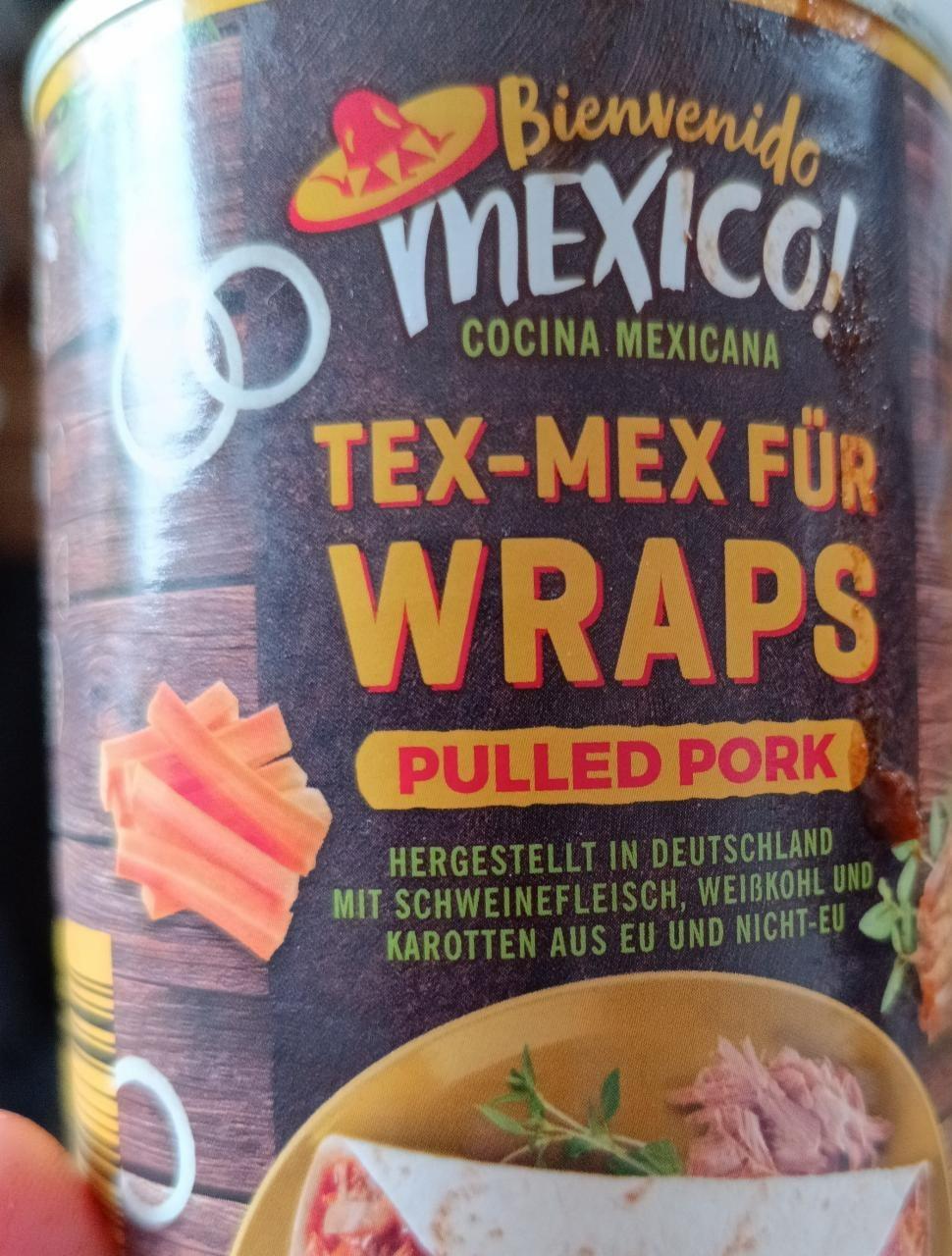 Fotografie - Tex-Mex Für Wraps pulled pork Bienvenido Mexico!