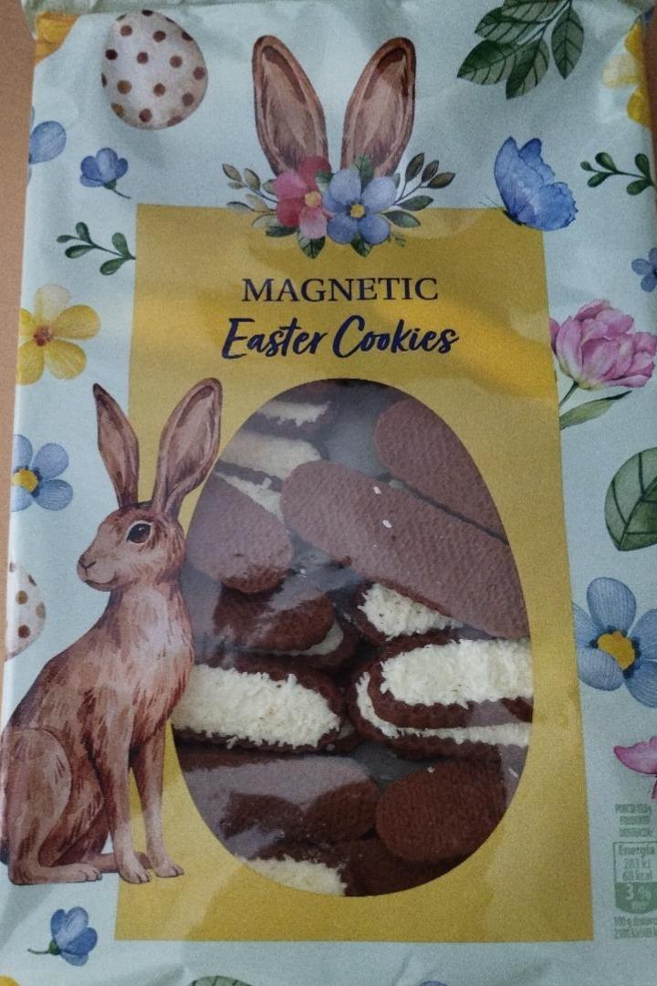Fotografie - Easter Cookies Magnetic