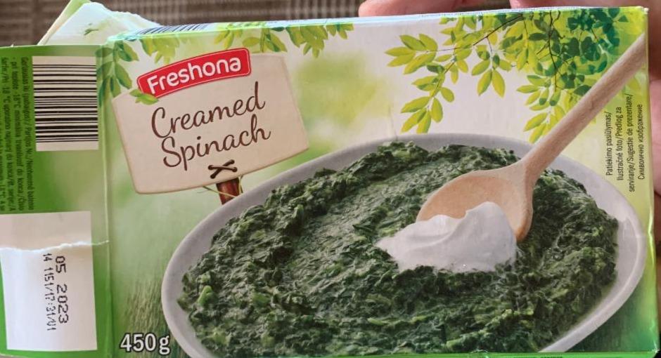Fotografie - Creamed Spinach Freshona