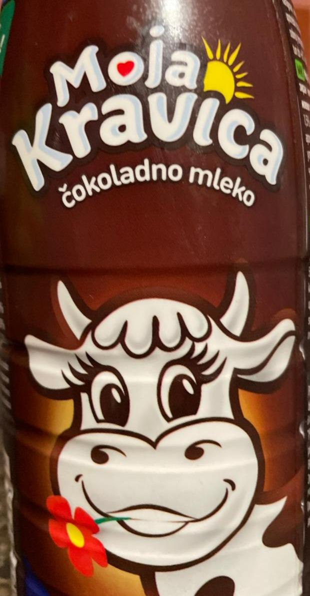 Fotografie - Čokoladno mleko Moja kravica
