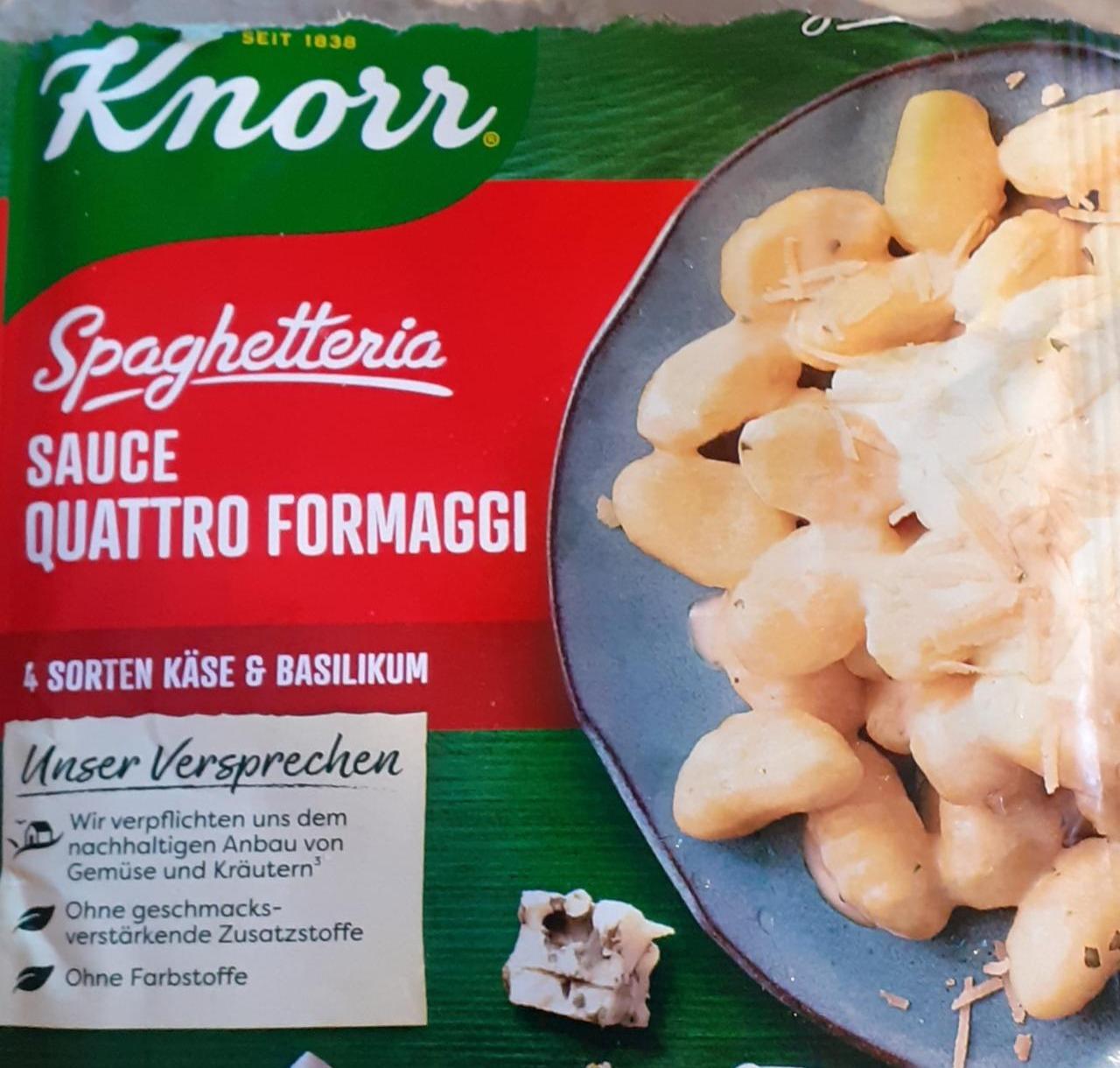 Fotografie - Spaghetteria Quattro Formaggi 4 Sorten Käse & Basilikum Knorr