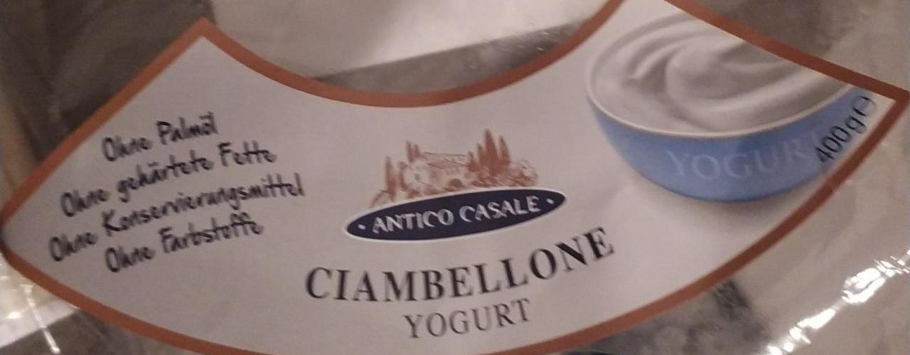 Fotografie - Ciambellone yogurt Antico Casale