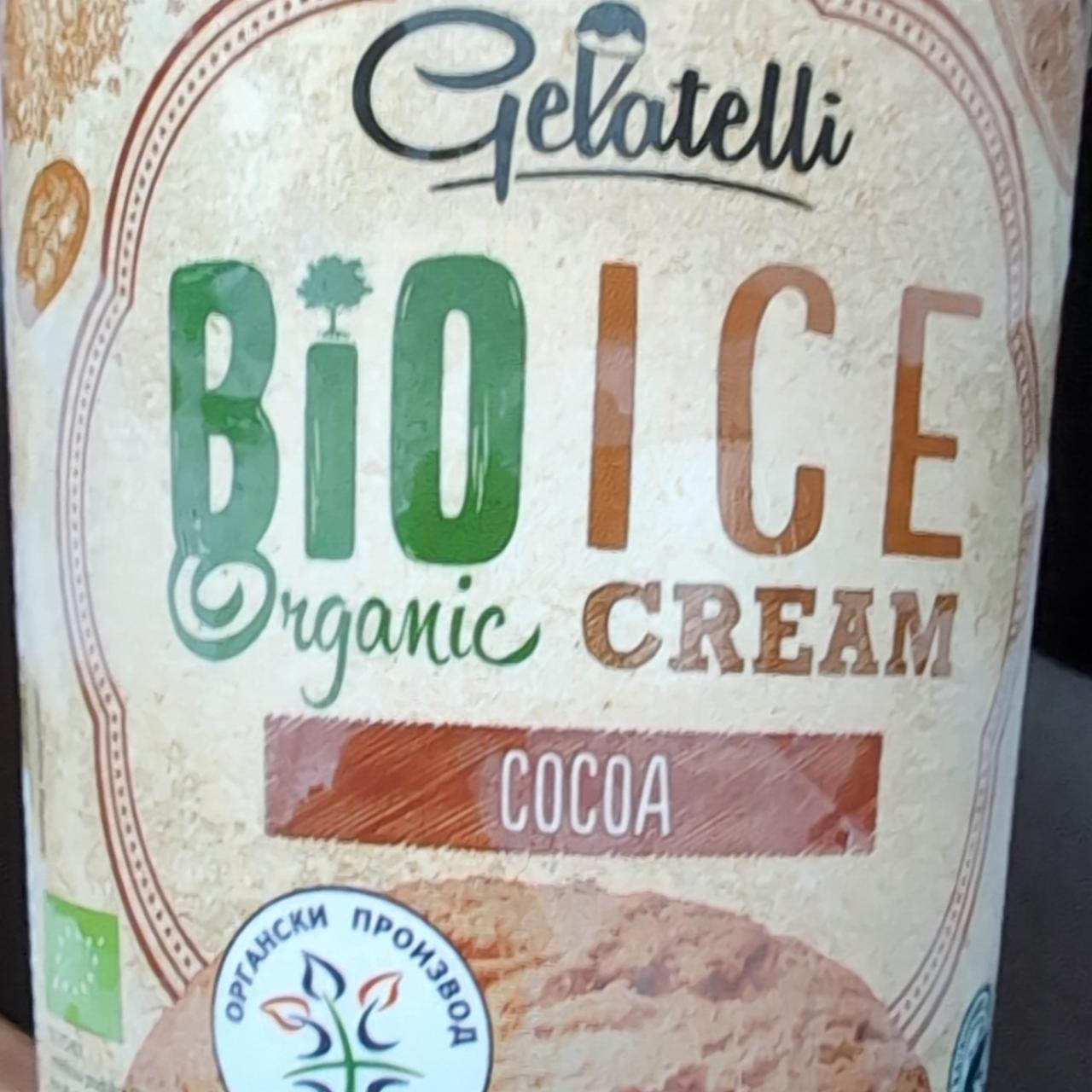 Fotografie - Bio Organic Ice Cream Cocoa Gelatelli