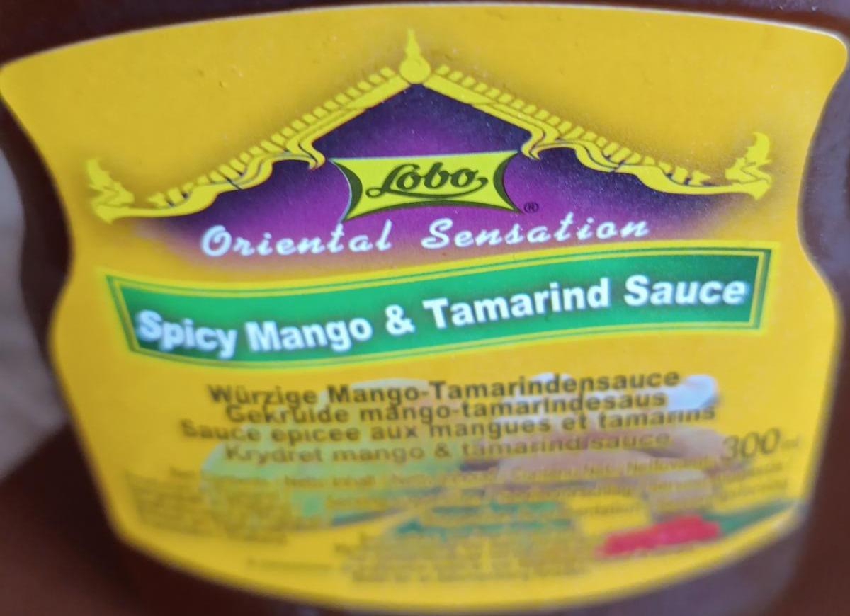 Fotografie - Spicy mango tamarind sauce