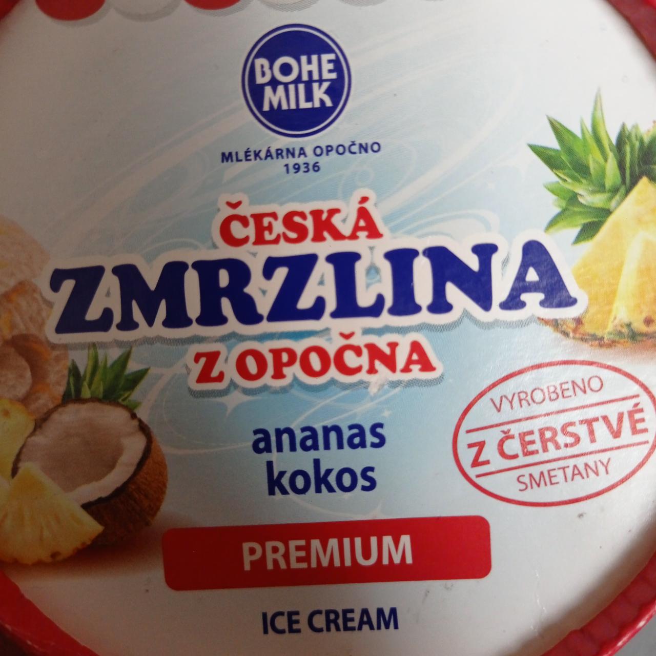 Fotografie - Česká zmrzlina z Opočna ananas kokos