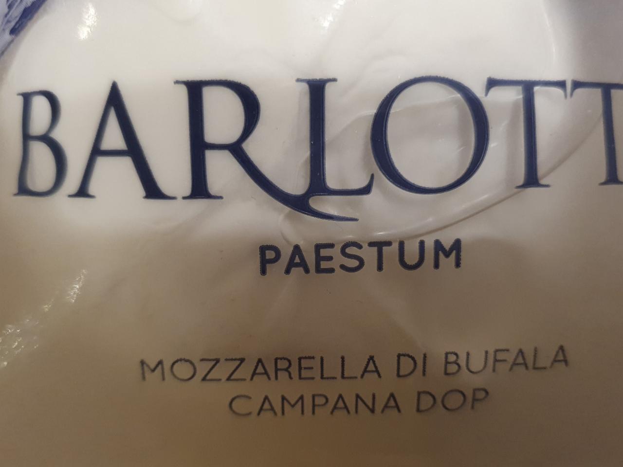 Fotografie - Barlotti mozzarella di bufala