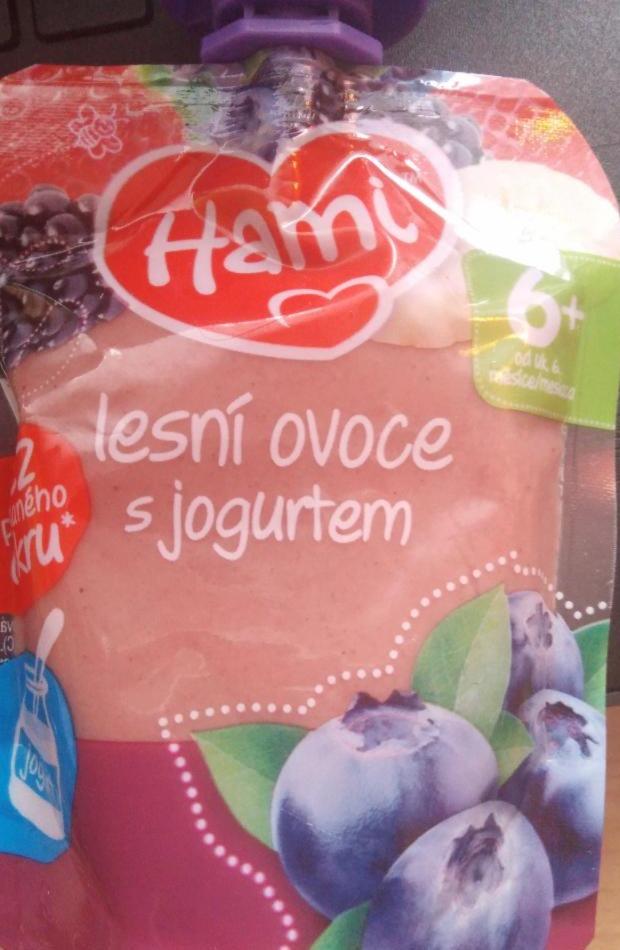 Fotografie - Hami lesní ovoce s jogurtem, ovocný příkrm 
