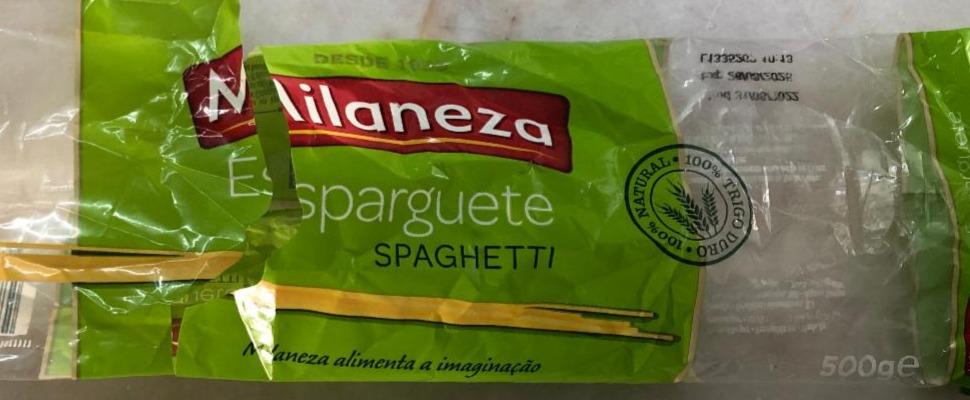 Fotografie - Esparguete Spaghetti Milaneza