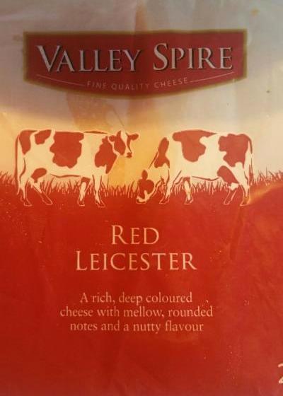 Fotografie - Red Leicester Valley spire