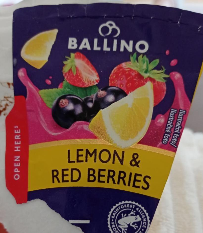 Fotografie - Lemon & Red berries Ballino