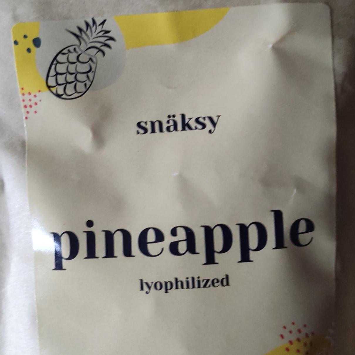 Fotografie - Pineapple lyophilized Snäksy