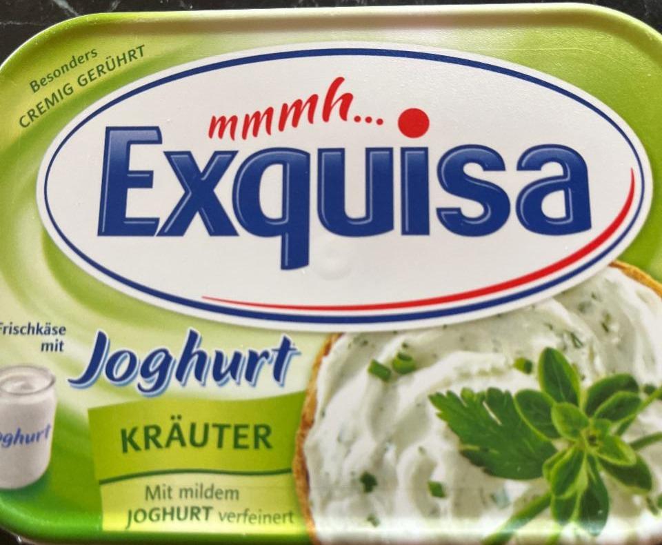 Fotografie - joghurt Kräuter Exquisa