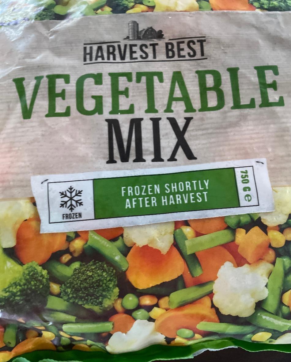 Fotografie - Vegetable Mix Harvest Best