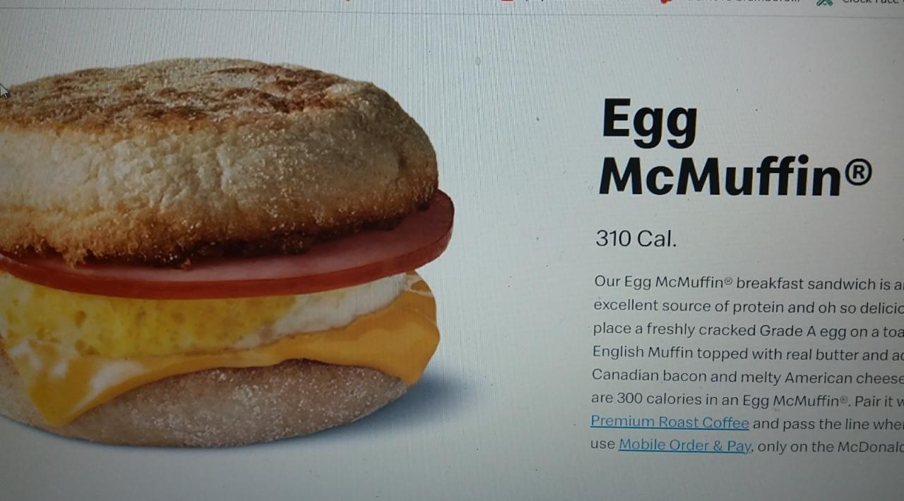 Fotografie - egg muffin MacDonald's