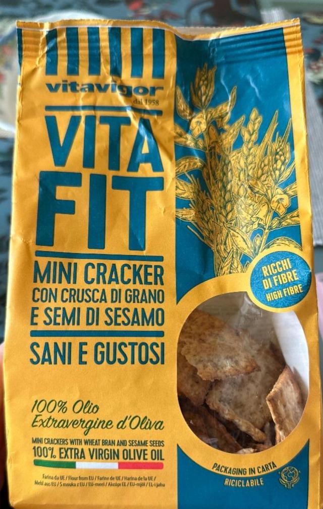 Fotografie - Vitafit mini cracker con fibre Vitavigor