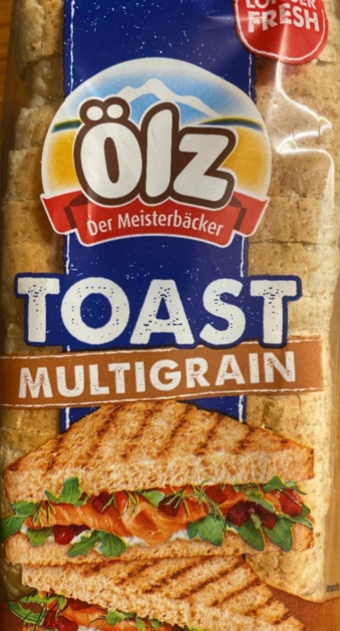 Fotografie - Toast Multigrain (vícezrnný toast) Ölz Der Meisterbäcker