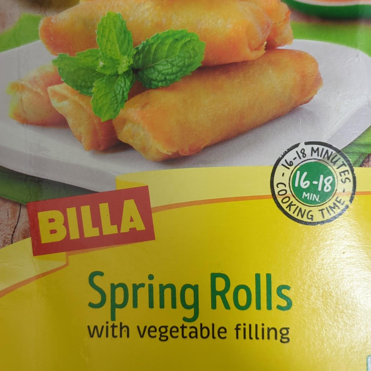 Fotografie - Spring Rolls with vegetable filling Billa